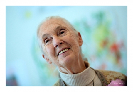  Jane Goodall, Primatologue